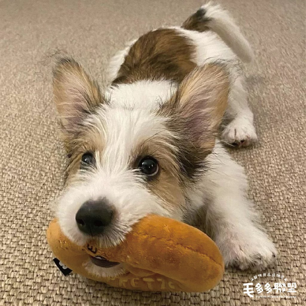 tw-11134207-7r990-lqlrt0gopv4oa5