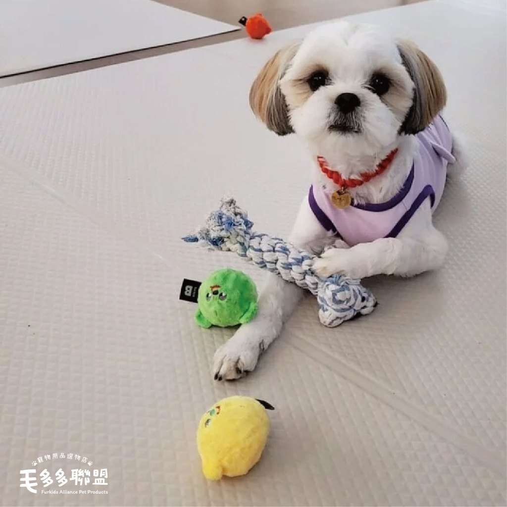 tw-11134207-7r98p-lrcxdgymctzm6d