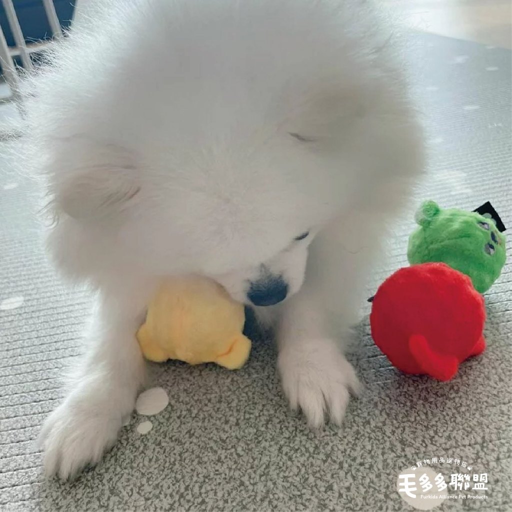 tw-11134207-7r98q-lrcxdgymsa8i89