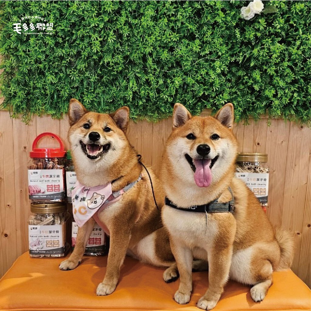 tw-11134207-7r991-lv44hcyjsh0pd2