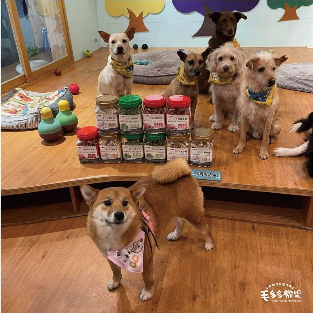 tw-11134207-7r98z-lv44hcykne2g9b