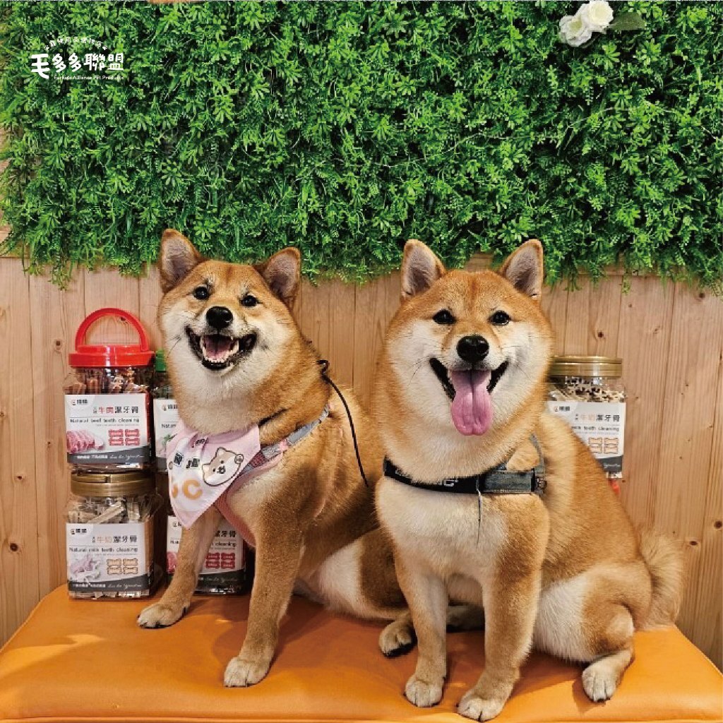 tw-11134207-7r98y-ly3lgrmfgjzo60