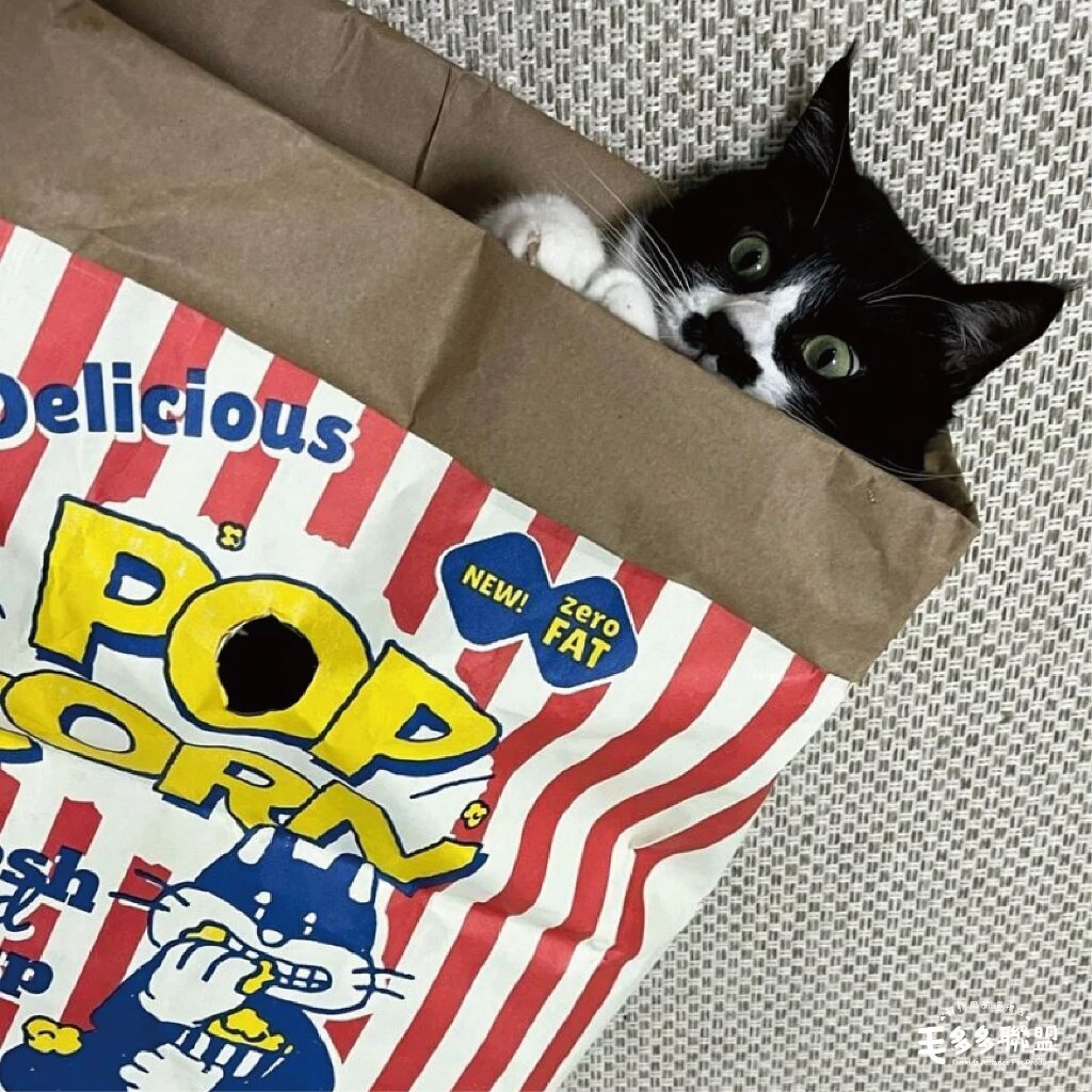 tw-11134207-7r991-lt0hvss8yh3cab