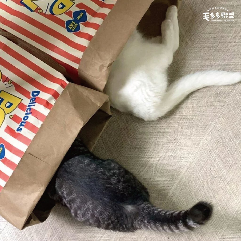 tw-11134207-7r98r-lt0hvss9fbgyd1