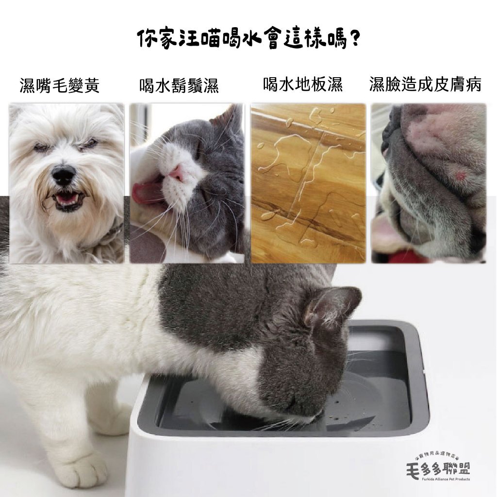 tw-11134207-7r990-lxjaaz4wlyk019