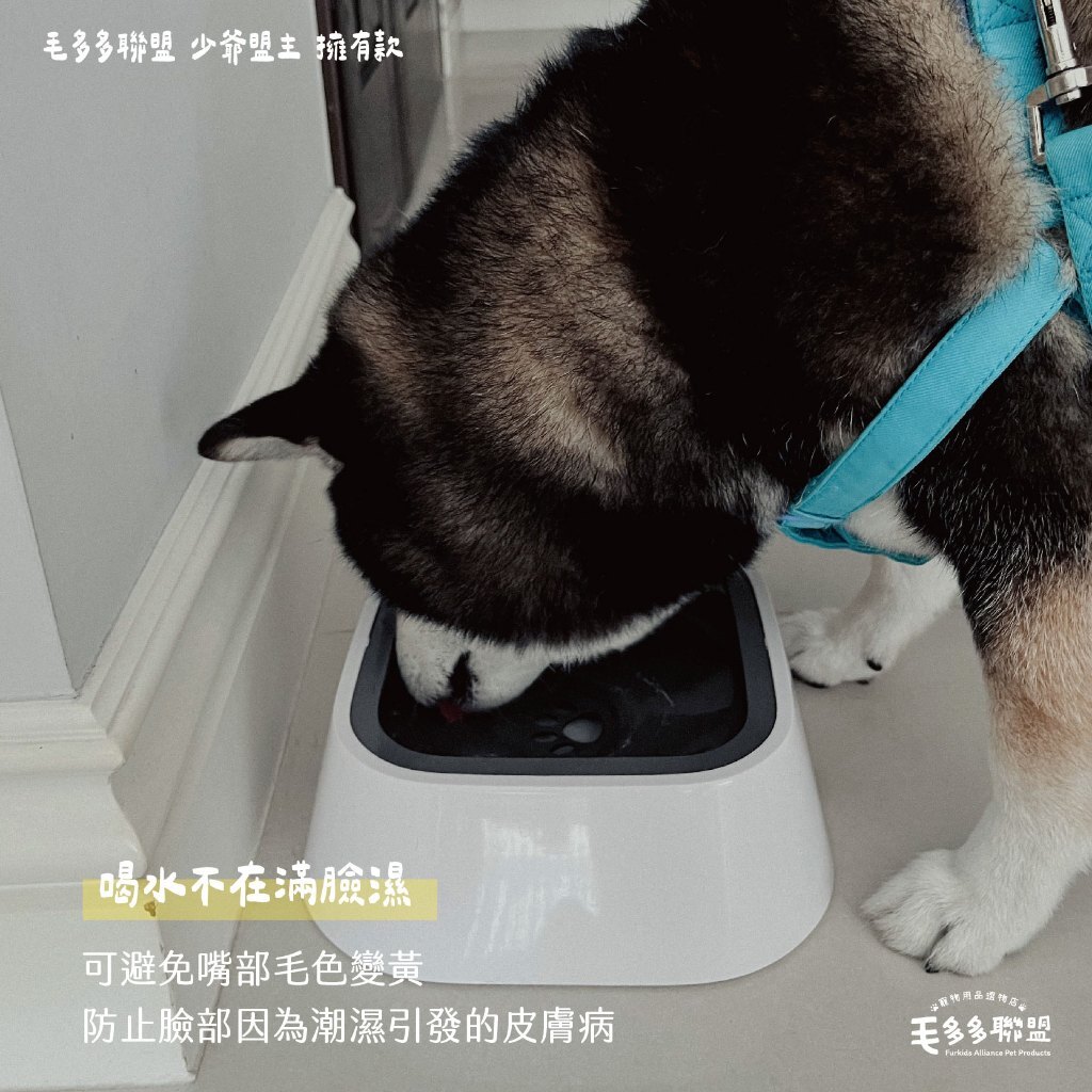 tw-11134207-7r98o-lxjaaz4wnd4g9c