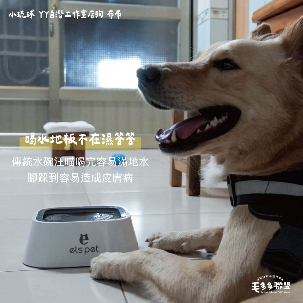 tw-11134207-7r991-lxjaaz4wq6g6e4