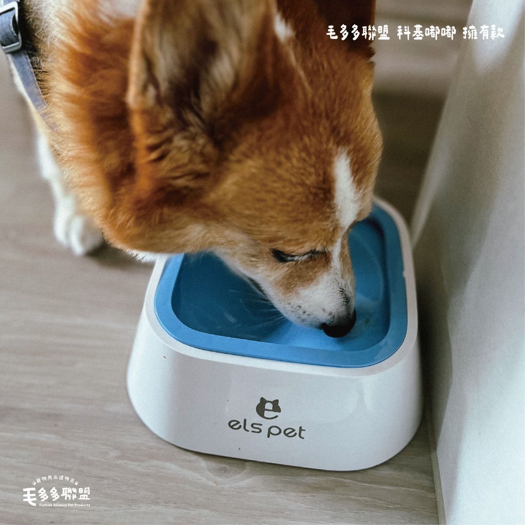 tw-11134207-7r98r-lxjaaz56iqsw18