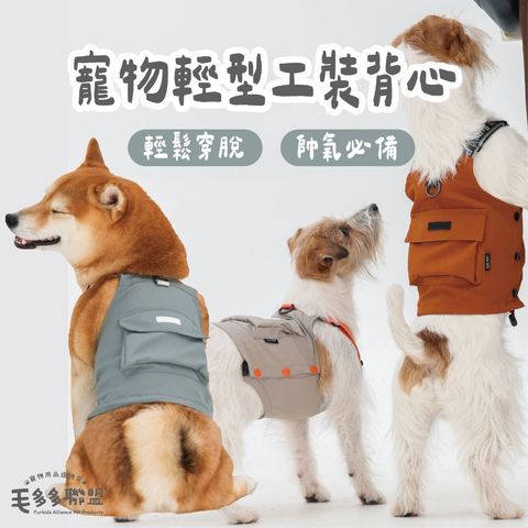 tw-11134207-7ra0t-mb6o3v6z22c8e0