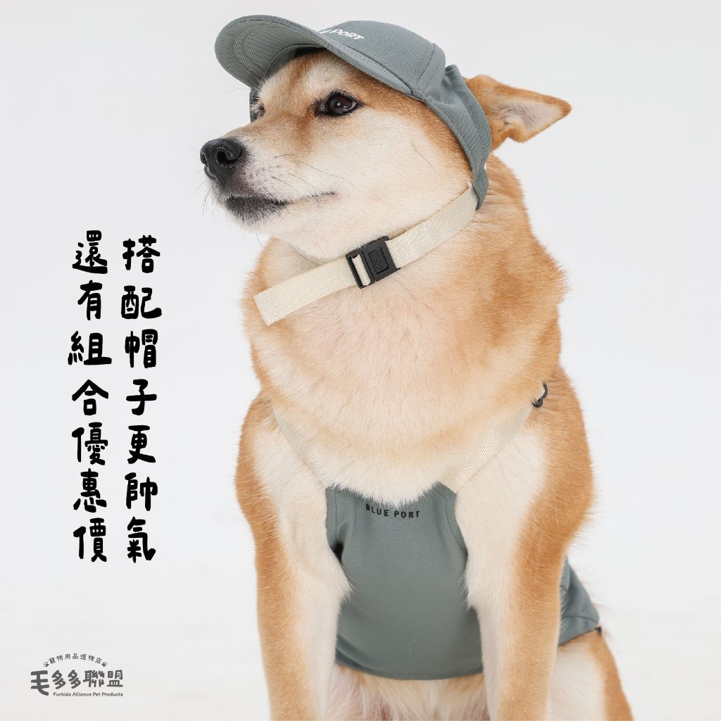 tw-11134207-7ra0o-mb6o3vbevkgo5c