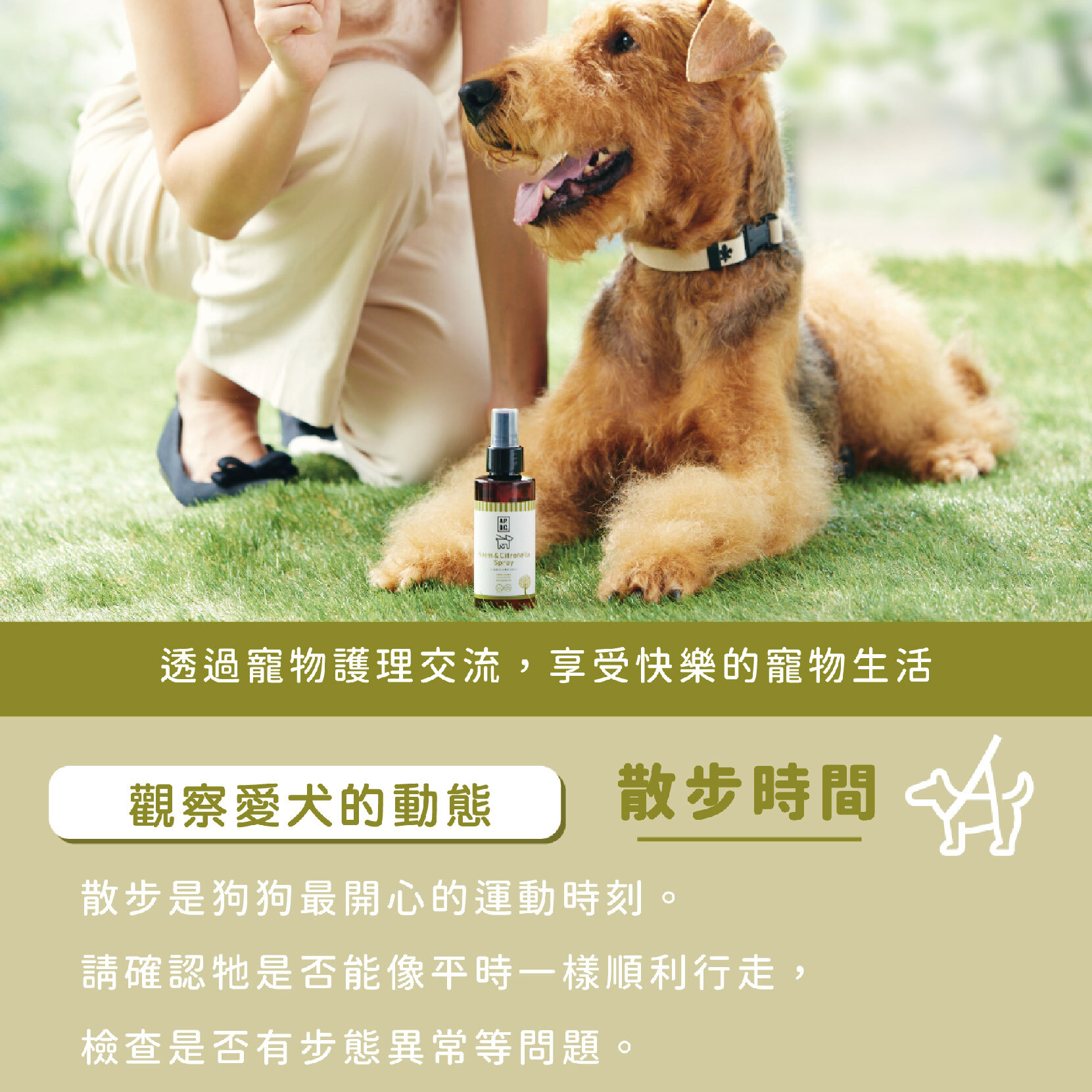 2025-防蚊噴霧＋隨身包-25