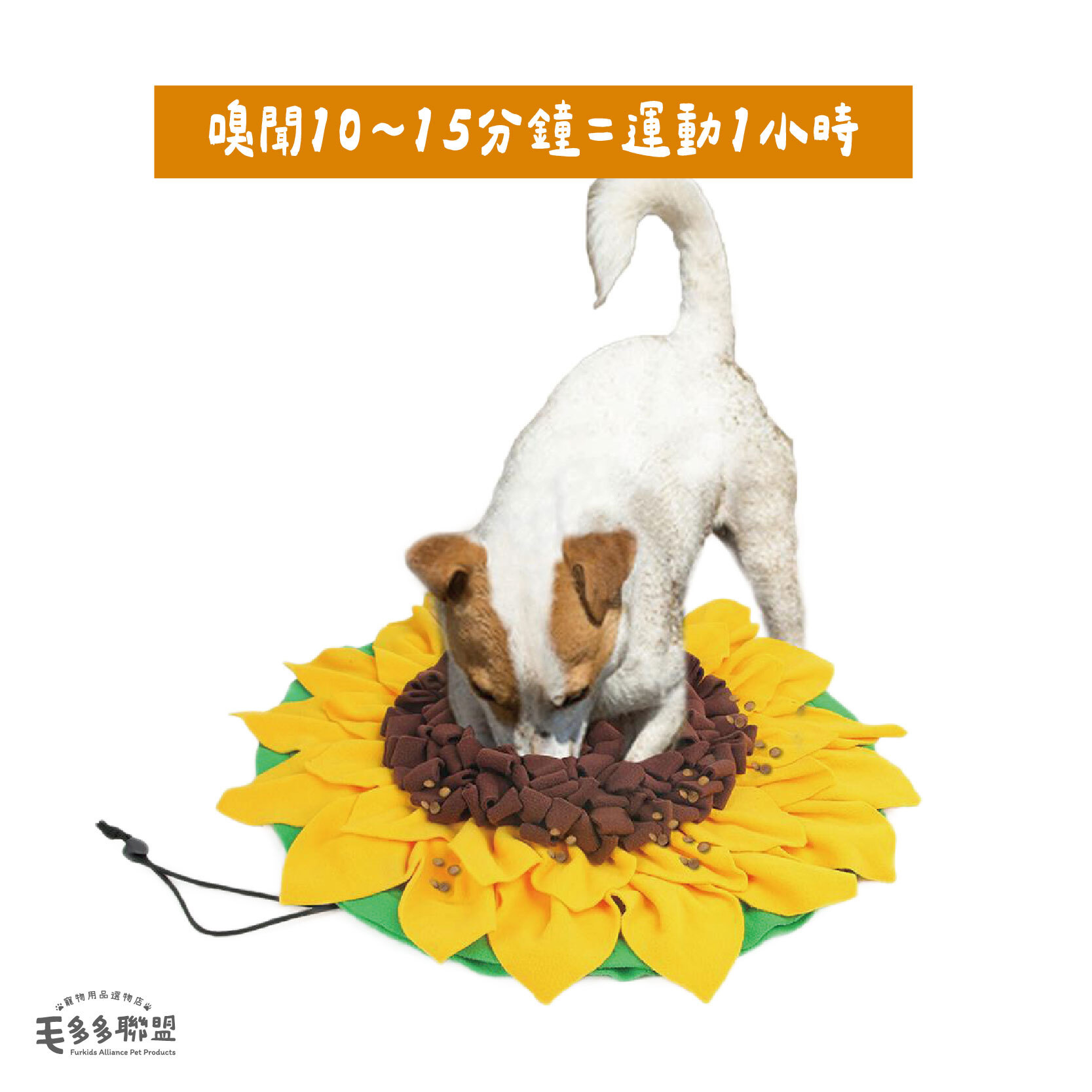 fad-向日葵嗅聞墊-05
