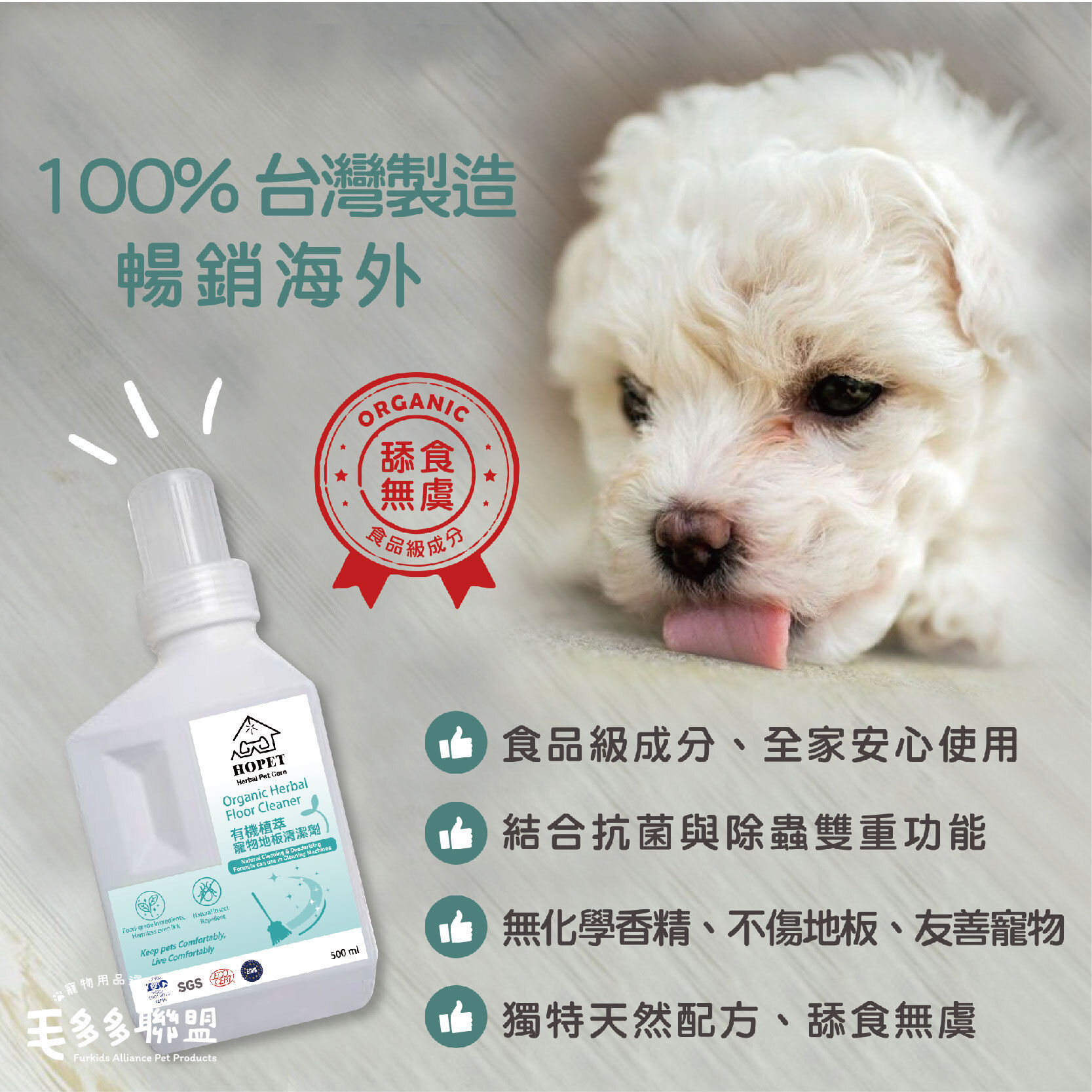 地板清潔_工作區域 1 複本 4