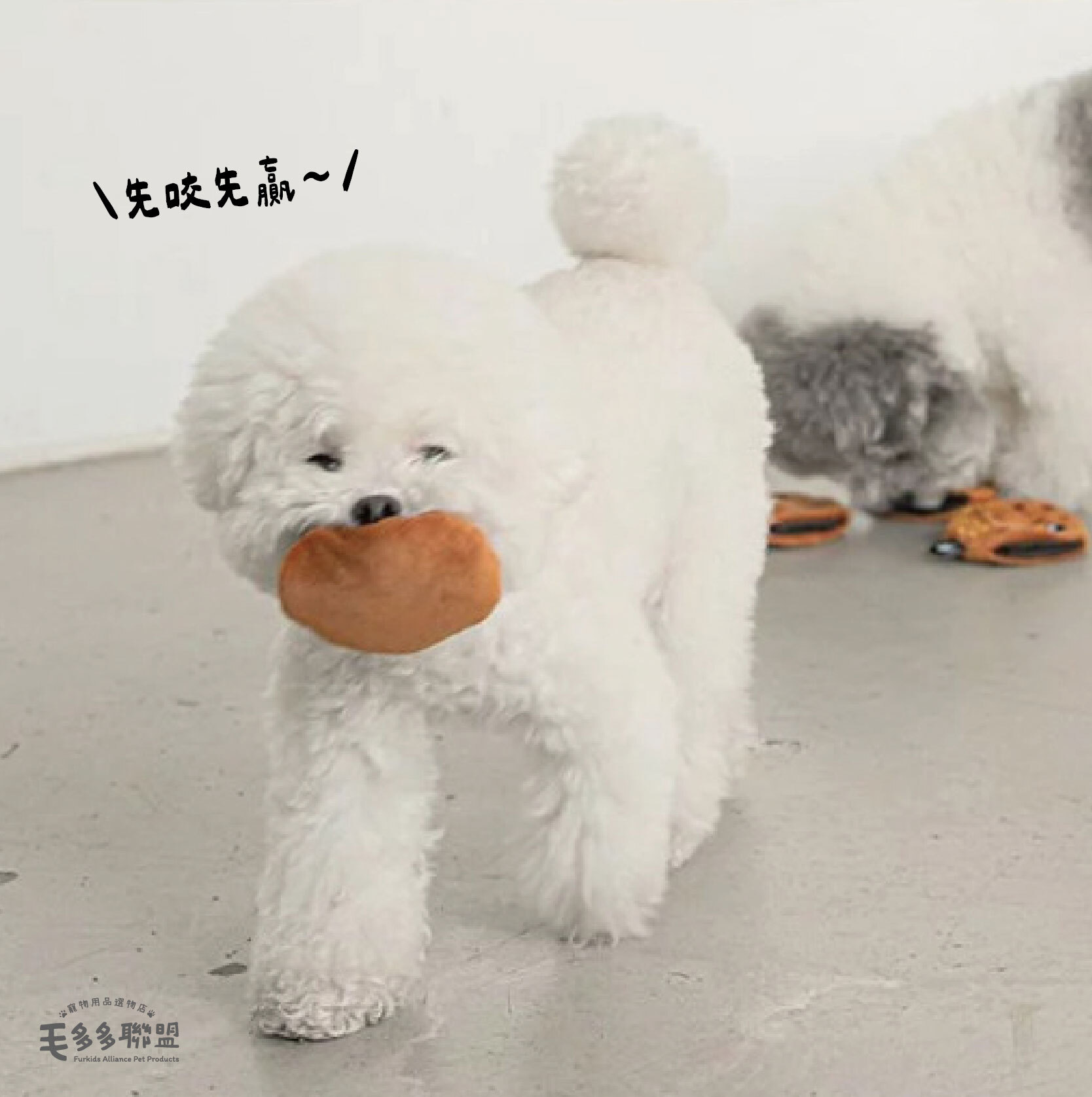 巧克力-23