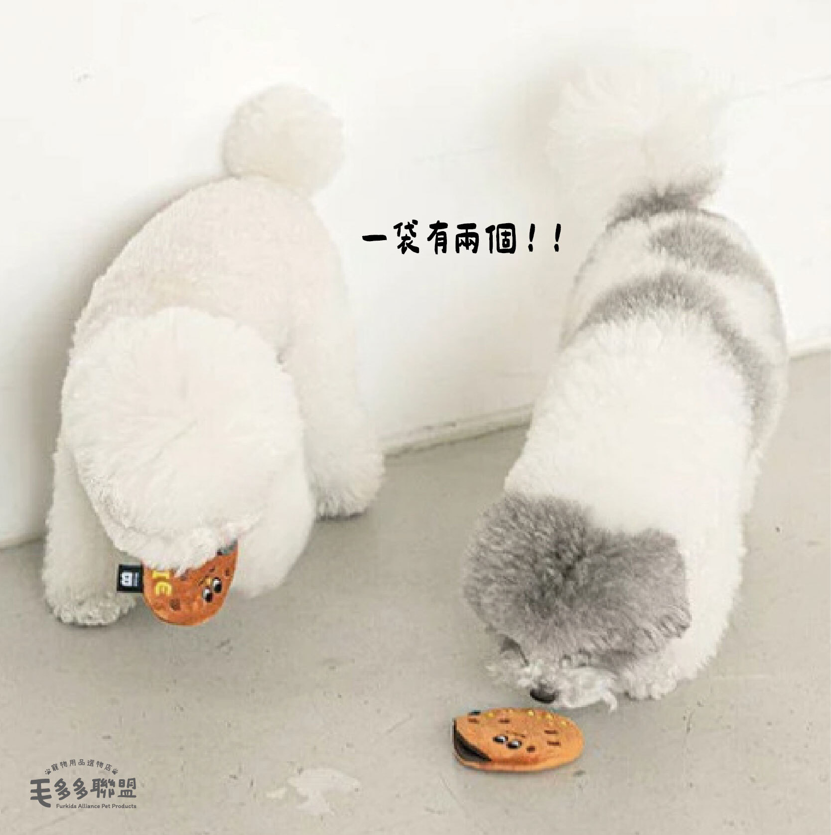 巧克力-18