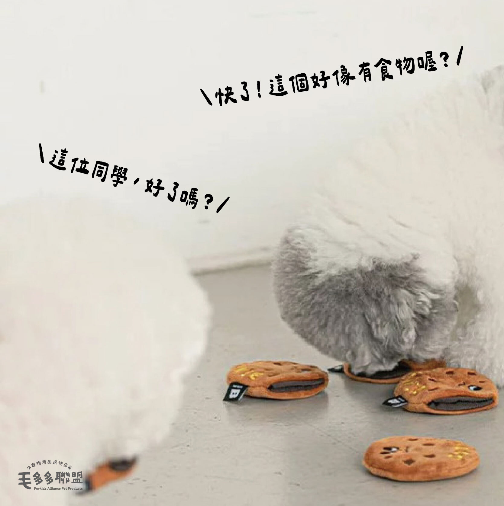 巧克力-24