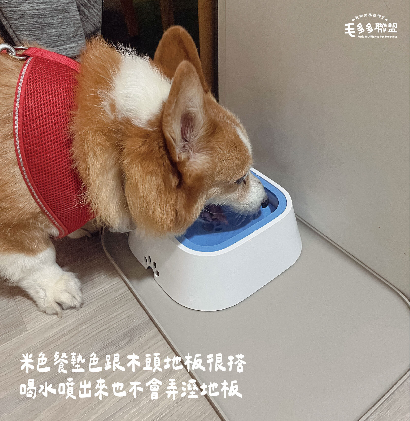 寵物防水餐墊-21