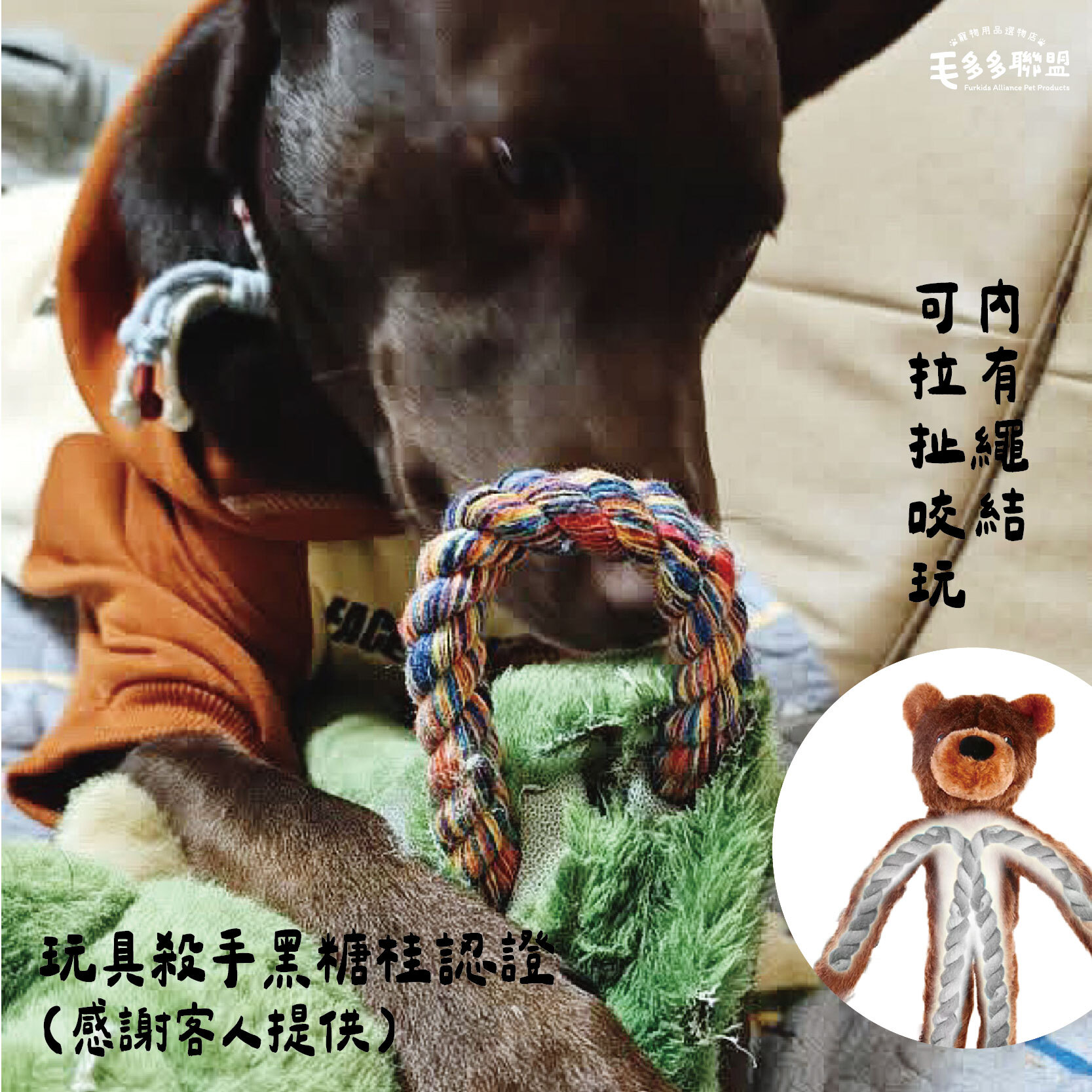 -寵物娃娃 青蛙 熊-05