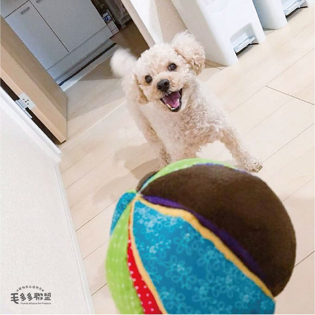 tw-11134207-81zto-mfqo6a6ulcemda