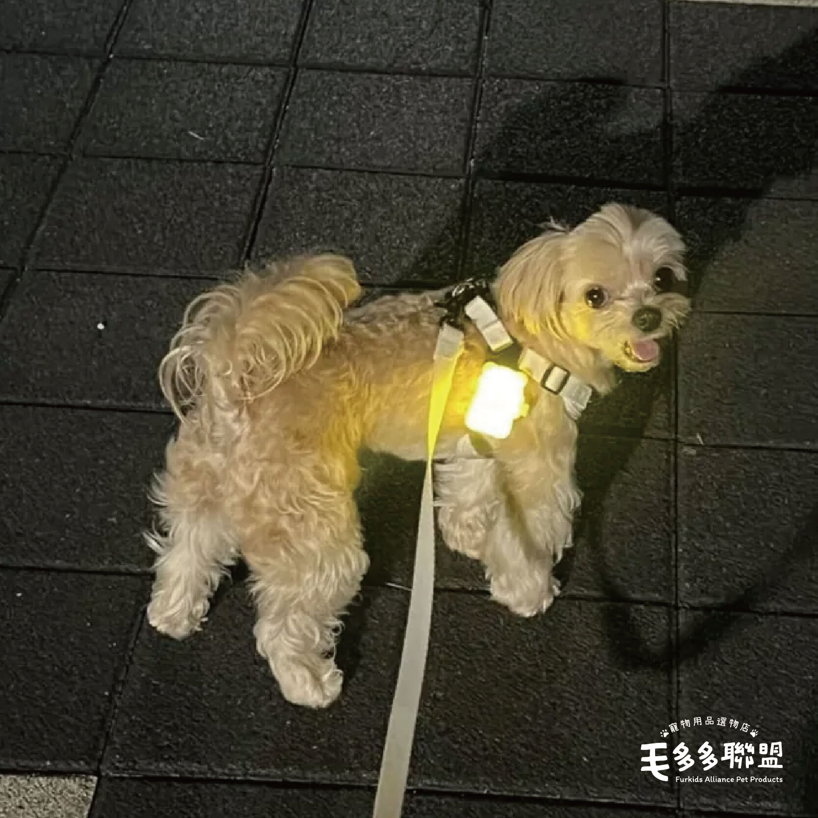 biteme-閃閃熊led燈_工作區域 1 複本 3