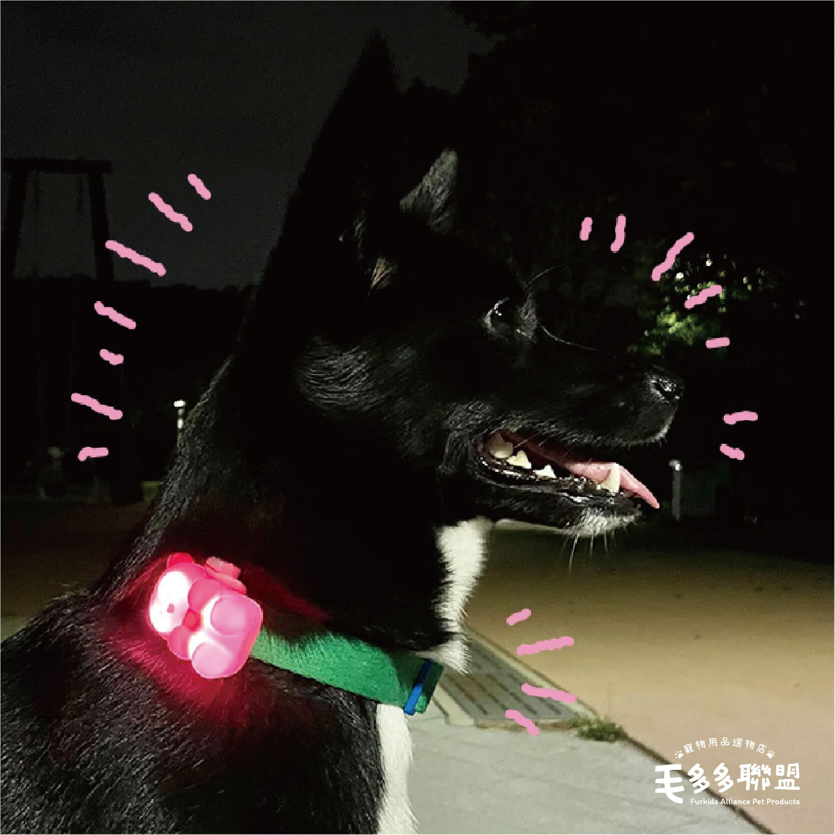 biteme-閃閃熊led燈-06