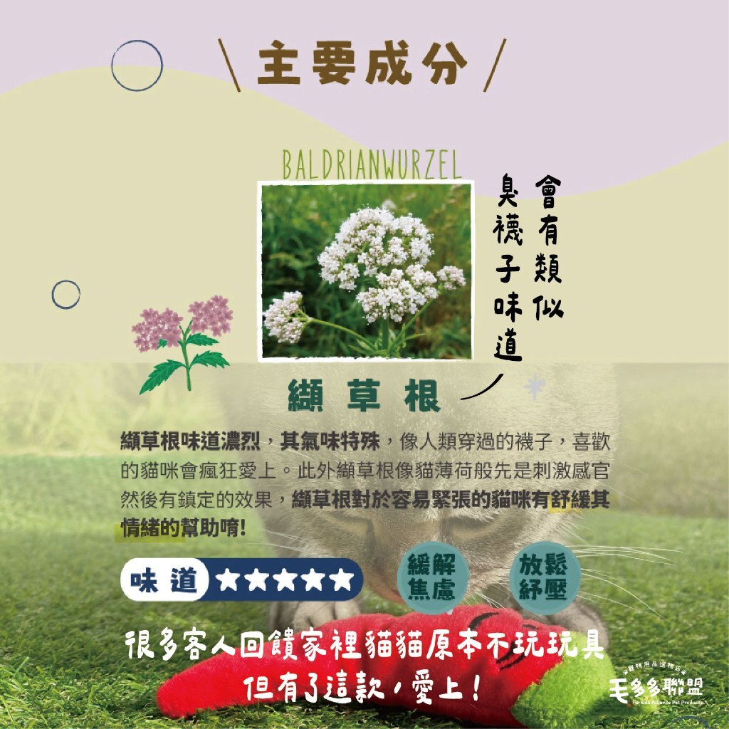 tw-11134207-81ztf-mgw5nt66qhamf7