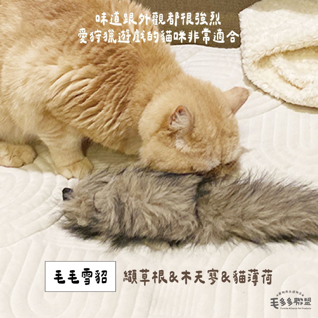 tw-11134207-81zto-mgw5nt6ew1zg58