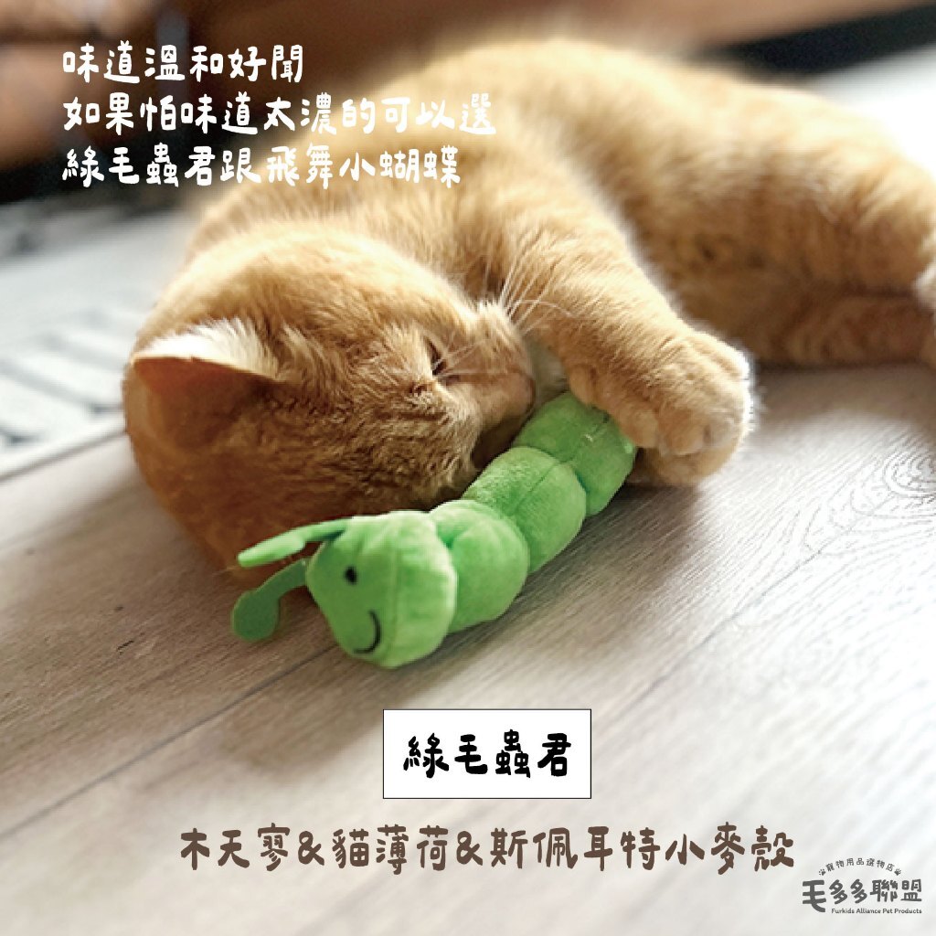 tw-11134207-81ztq-mgw5nt69ntvt67