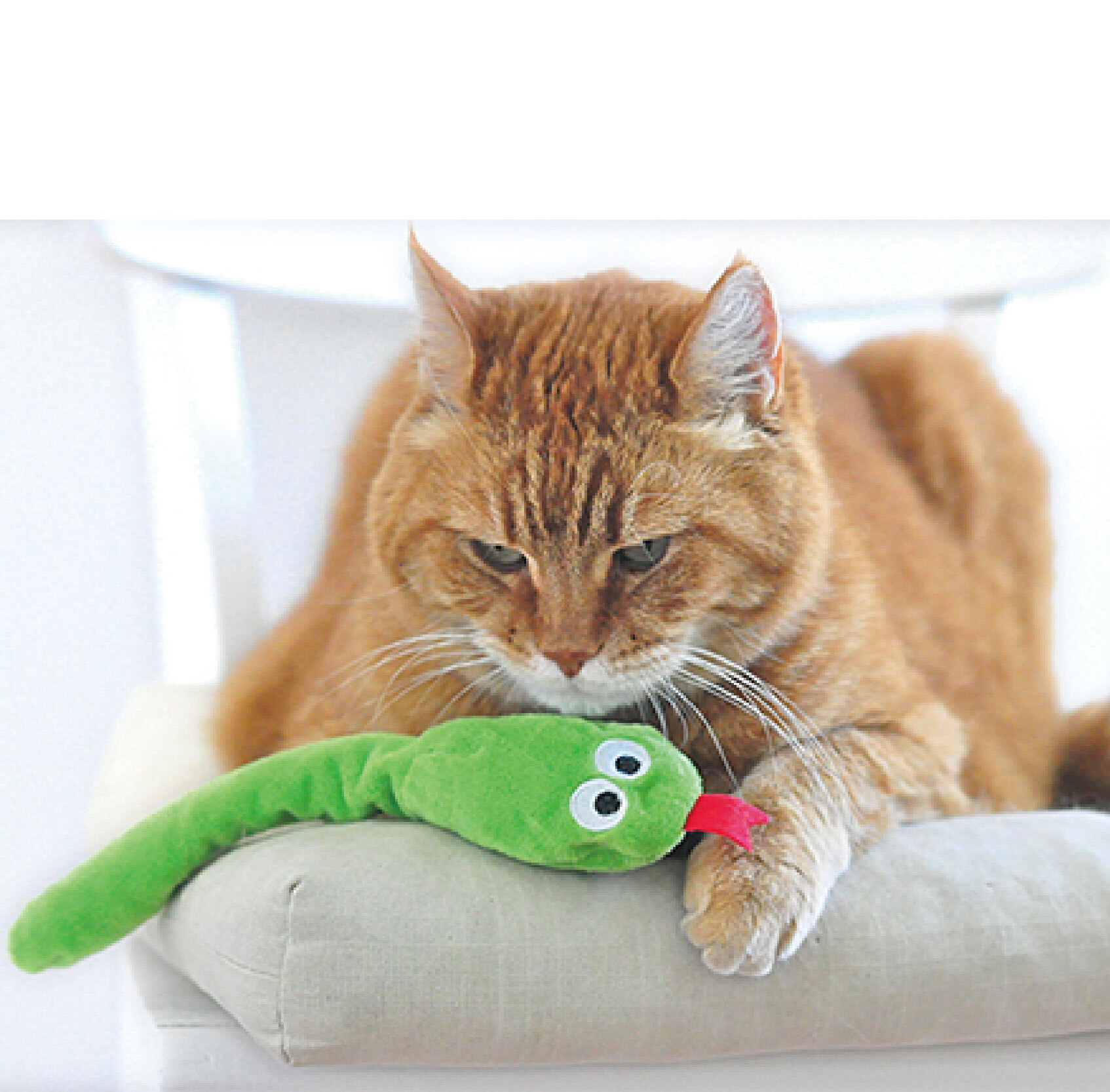 奧米樂貓草玩具-26