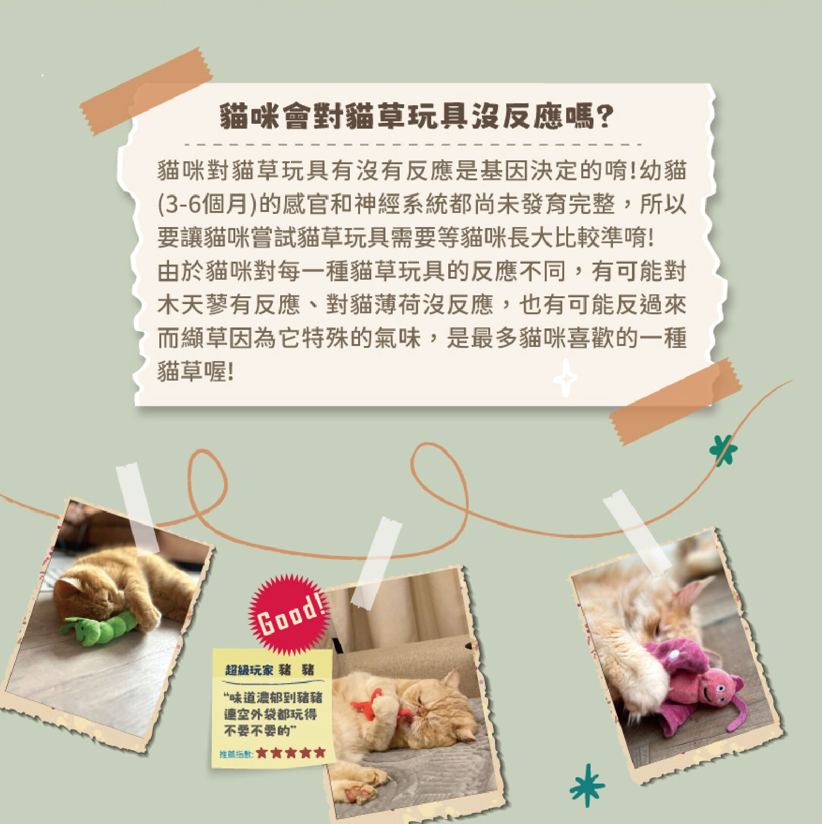 奧米樂貓草玩具-28