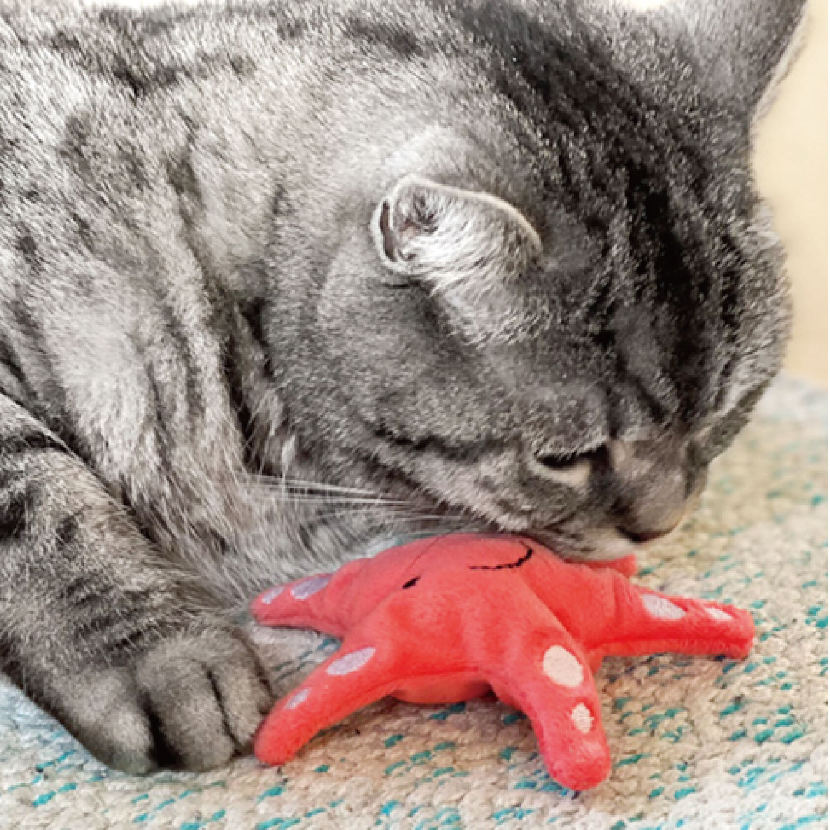 奧米樂貓草玩具-25