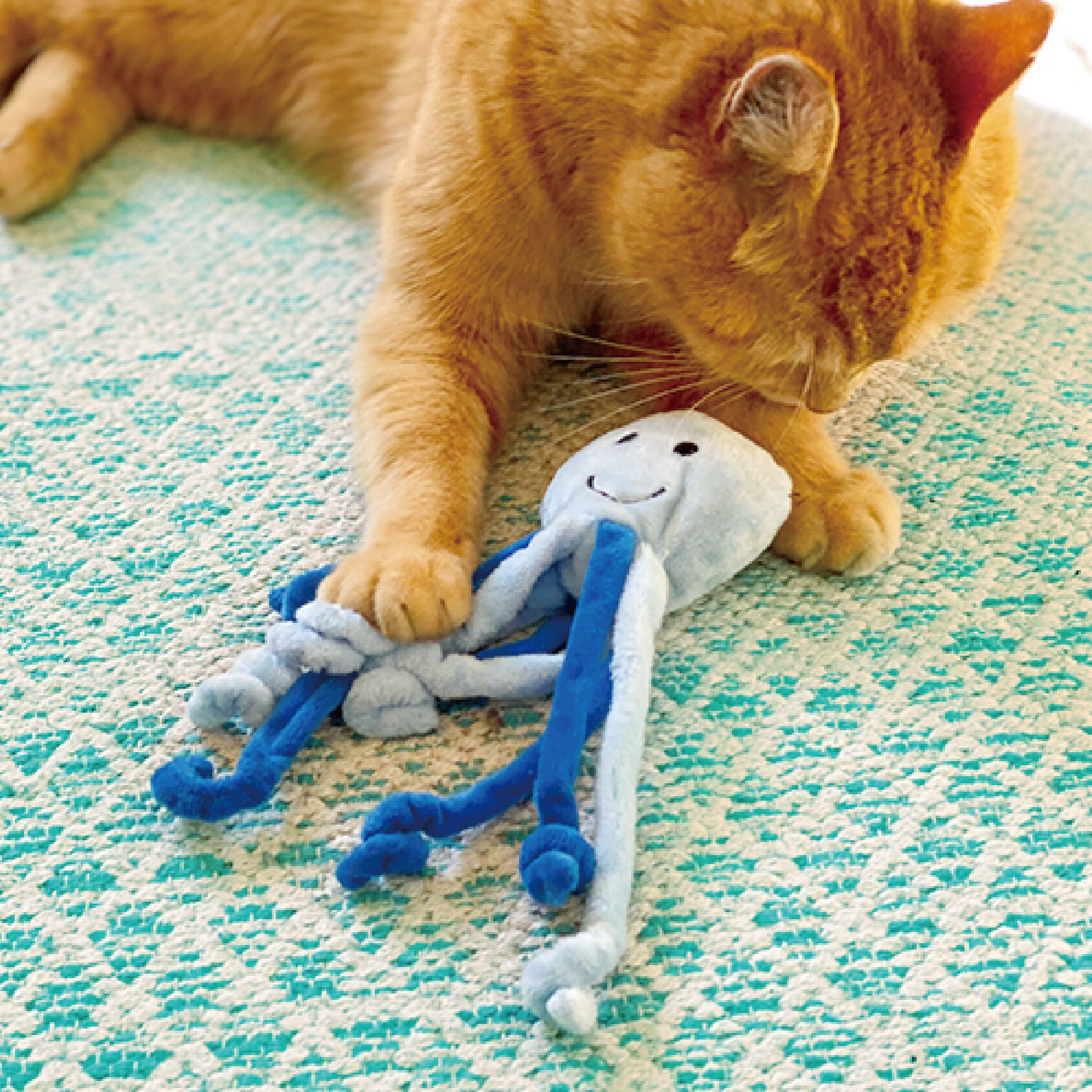 奧米樂貓草玩具-20