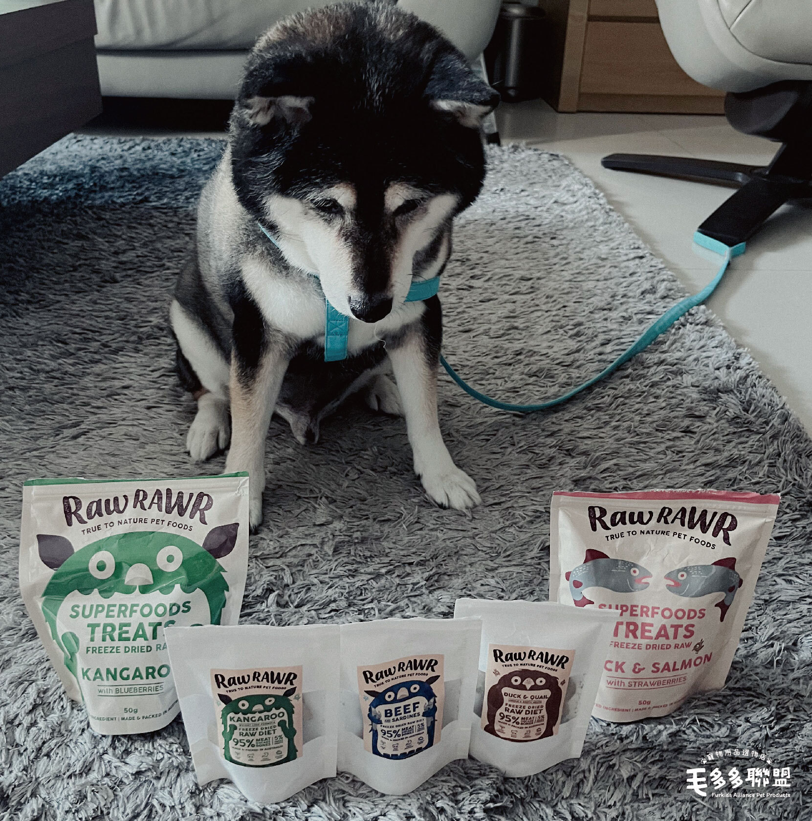 rr寵物凍乾主食-17