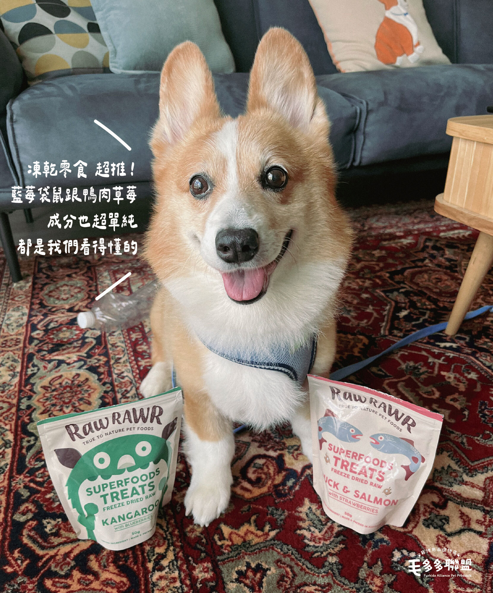 rr寵物凍乾主食-13