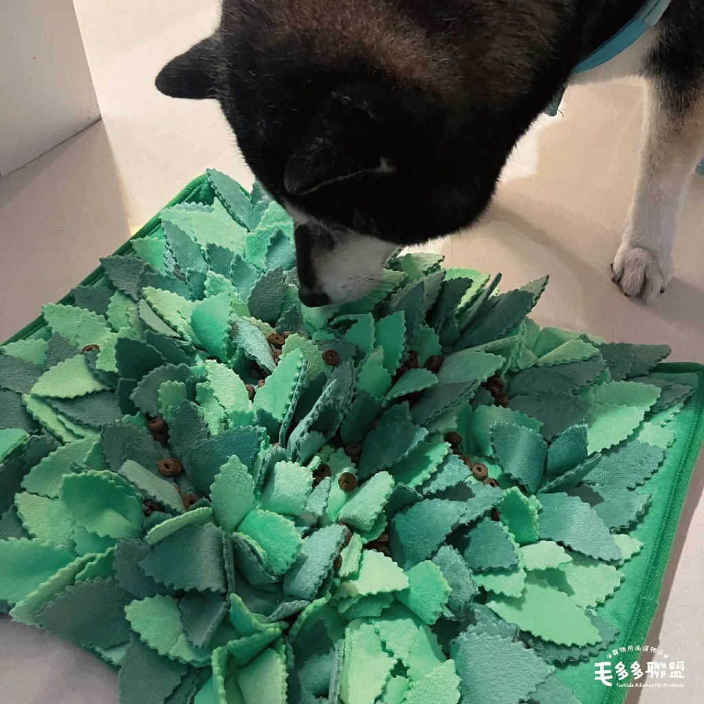 tw-11134207-81ztq-mh64uz3qjrim2a