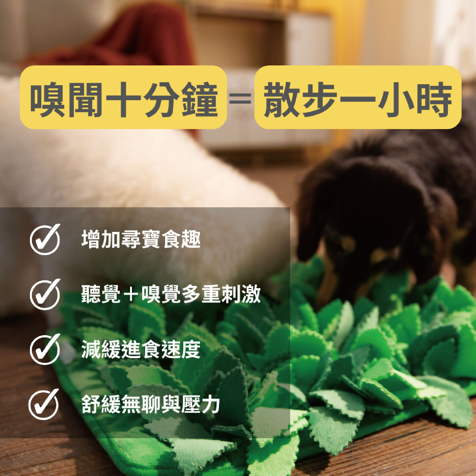 嗅聞墊_工作區域 1 複本 7