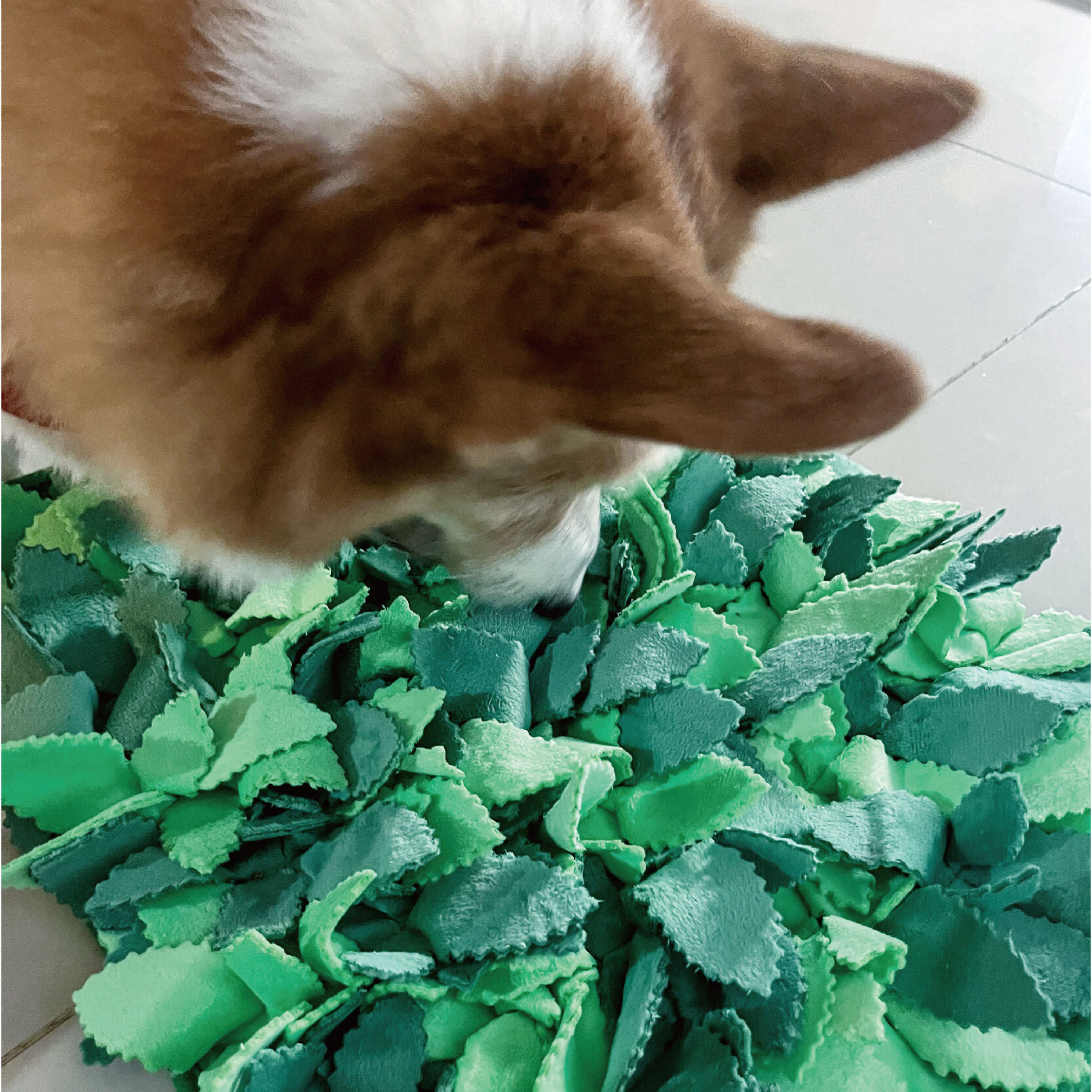 嗅聞墊_工作區域 1 複本 8