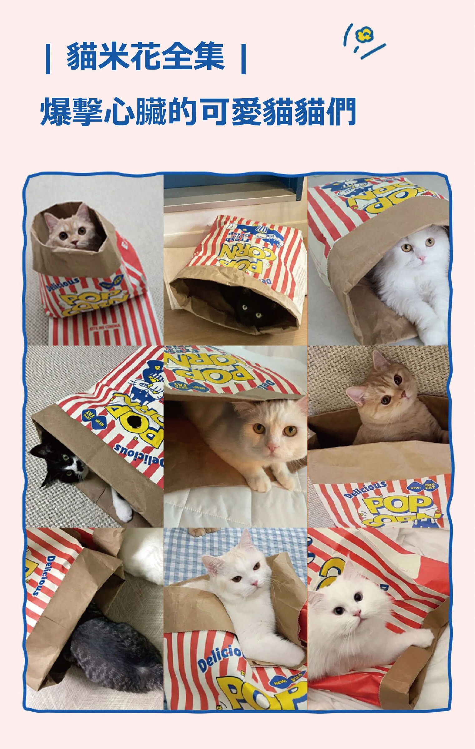 貓紙袋玩具-10