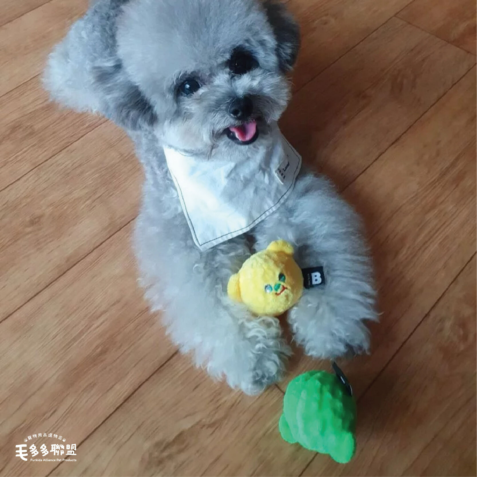 彈彈熊_工作區域 1 複本