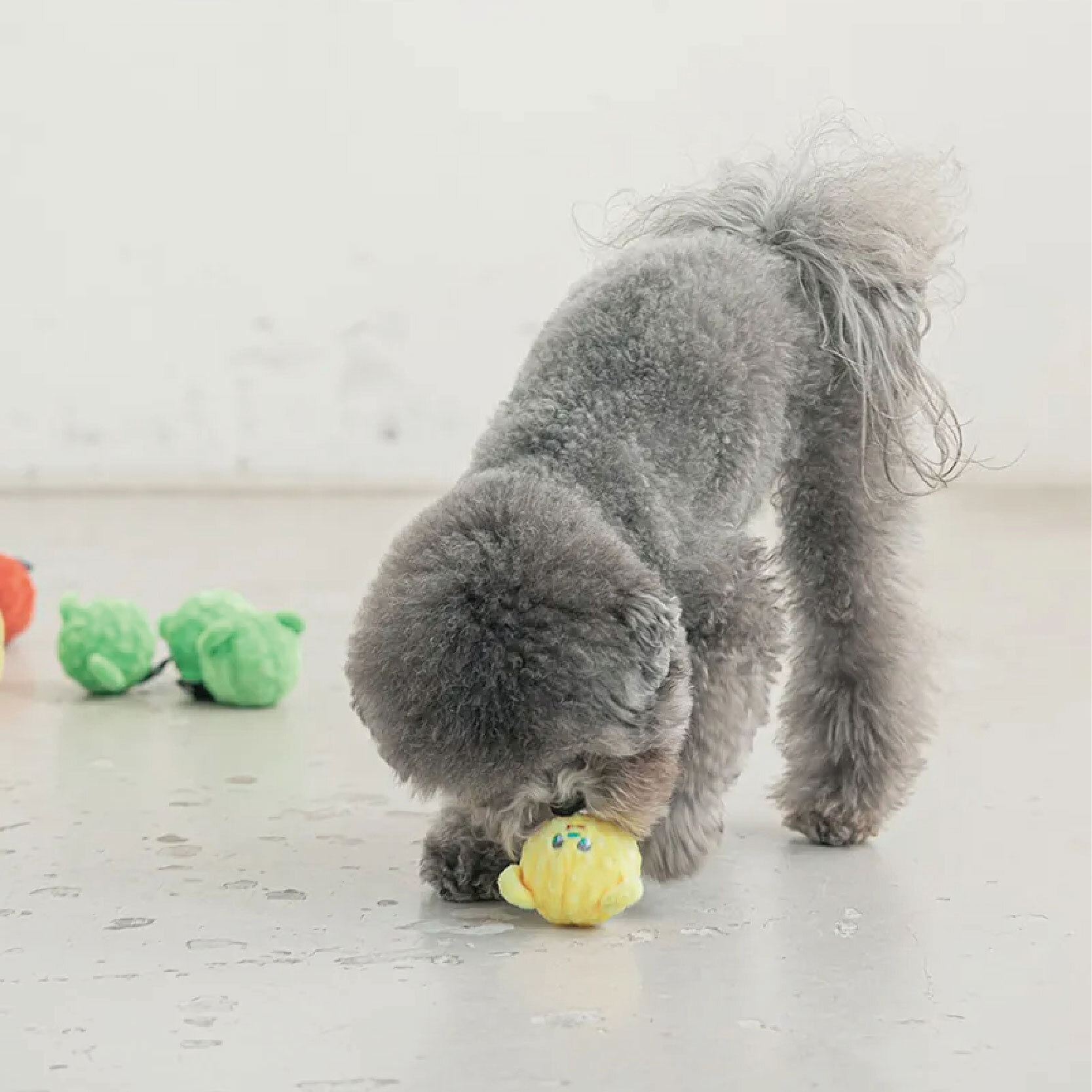 彈彈熊_工作區域 1 複本 7