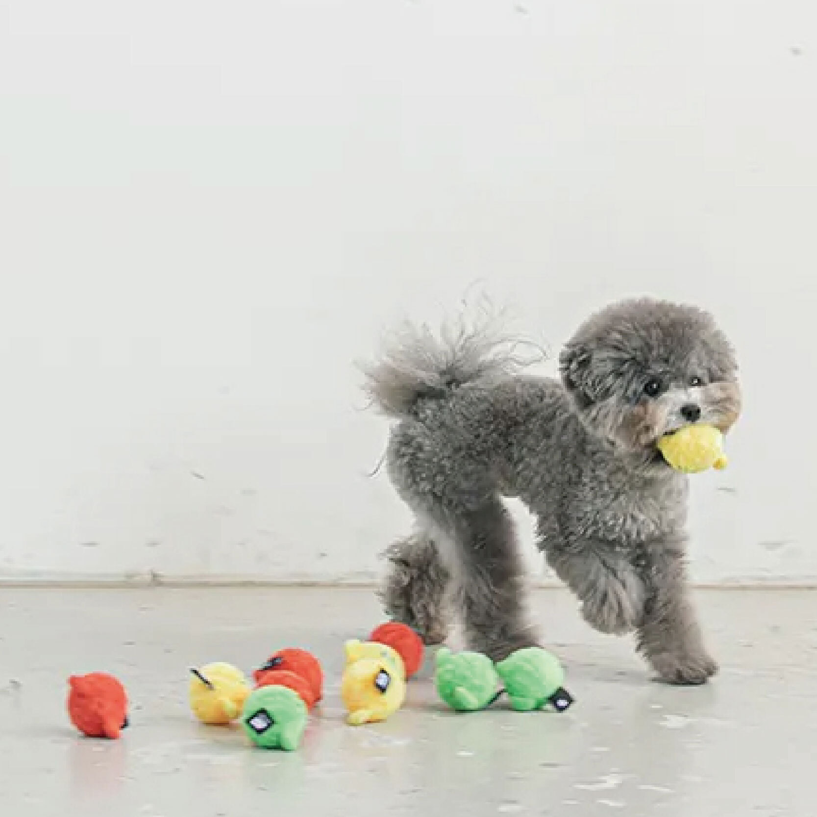 彈彈熊_工作區域 1 複本 8