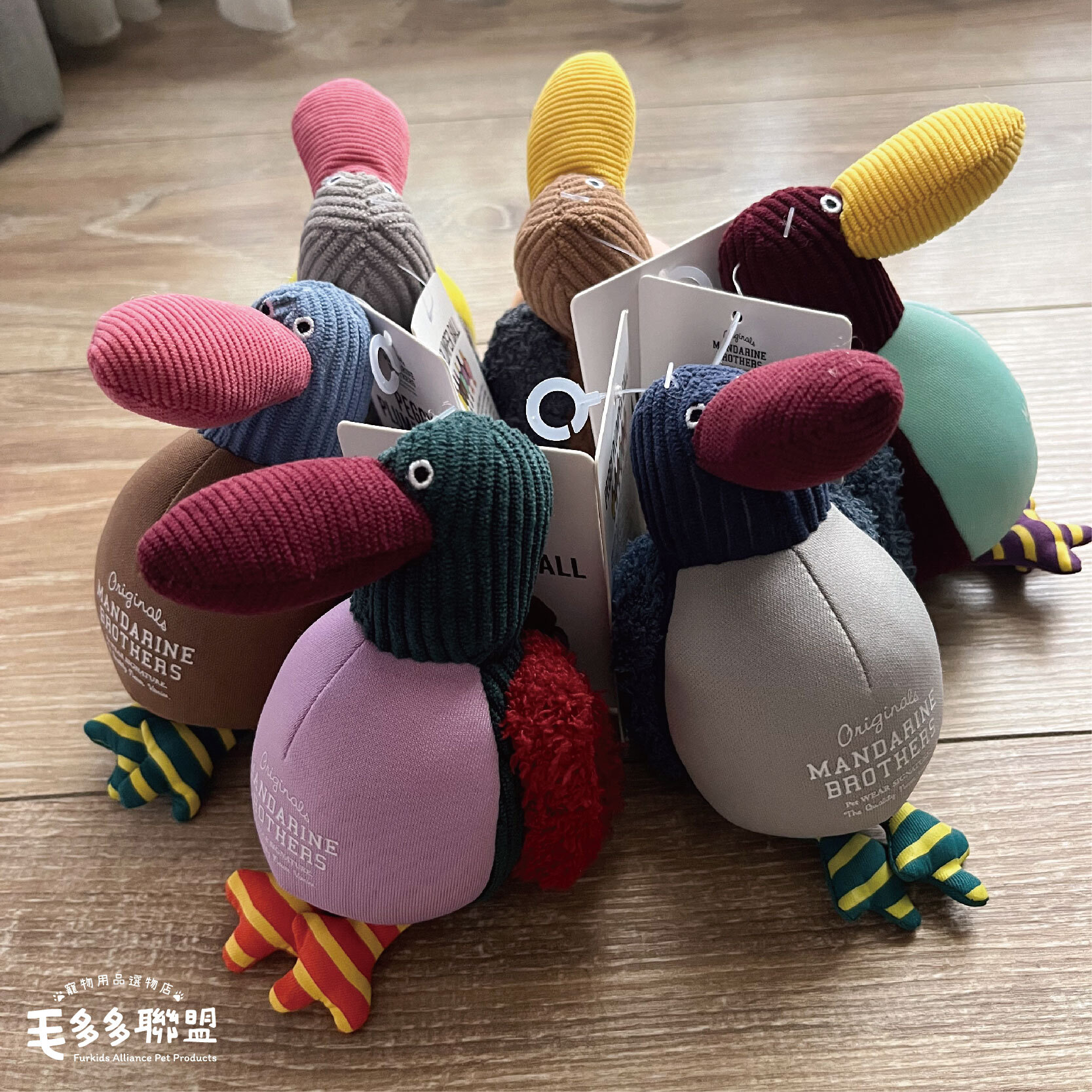 -鳥先生_工作區域 1 複本 2