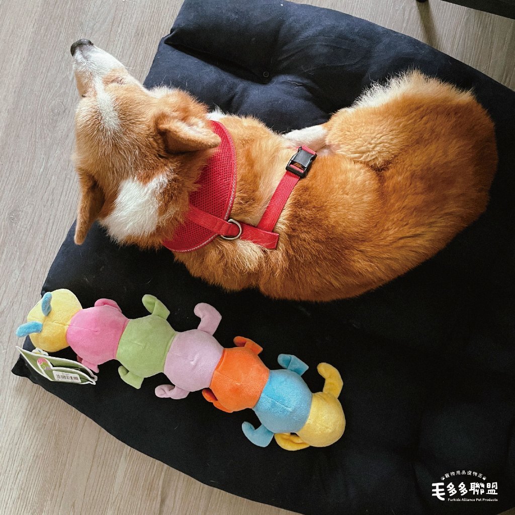 tw-11134207-81ztd-mjz77dvbc7ibb1