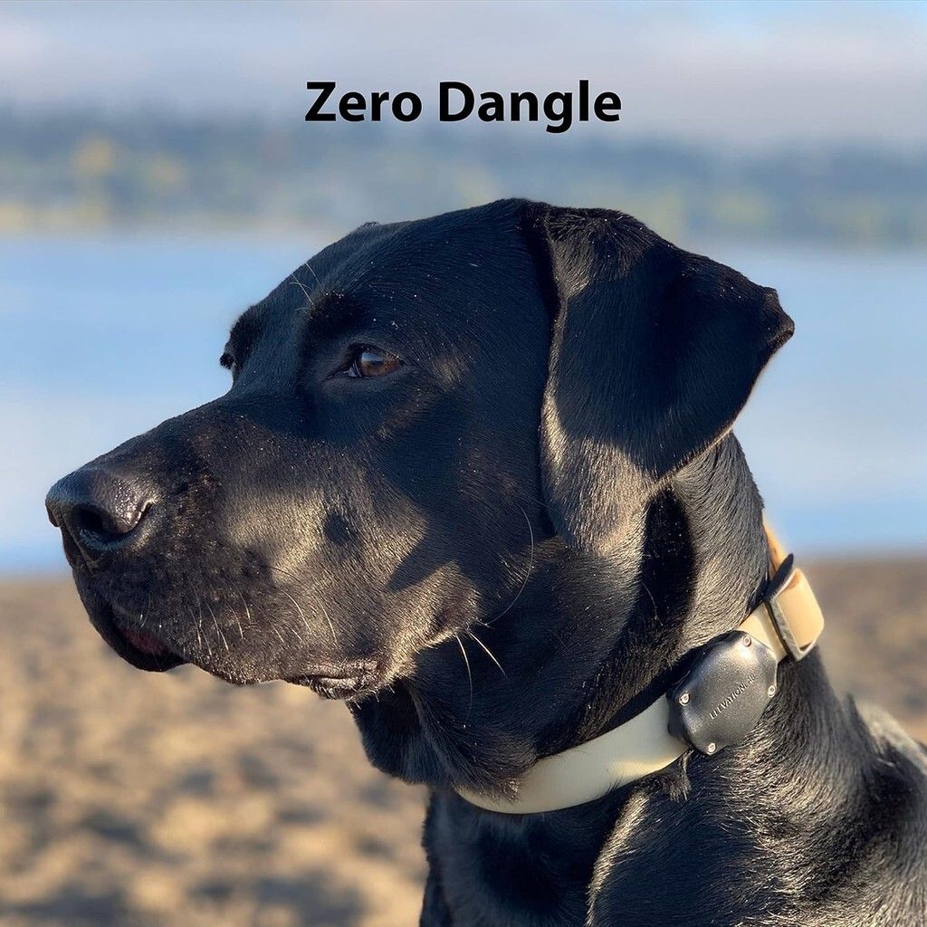 sg-11134201-7ra1p-mbfh7tovnbkmc0