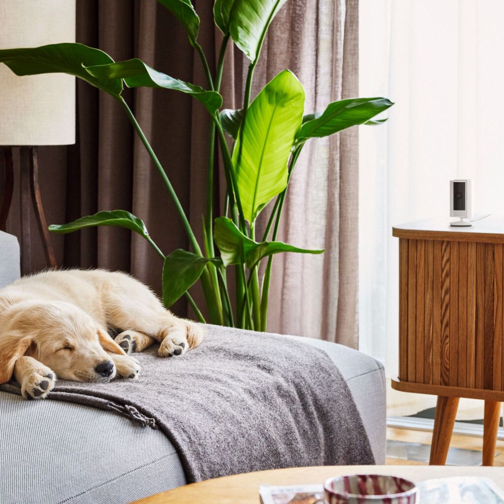 sg-11134201-7rdxa-lzz0205itgquaa