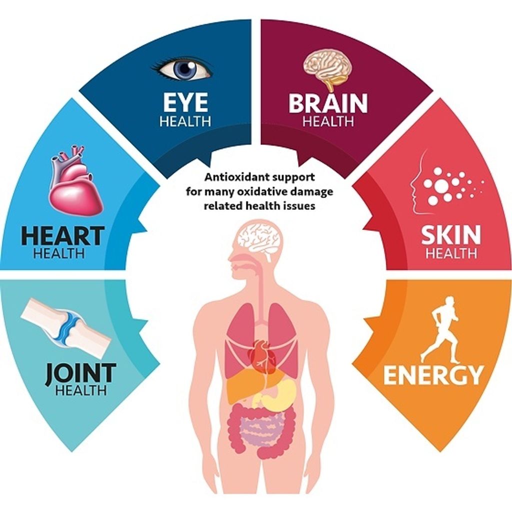 sg-11134201-22110-7fp86x38chkv44
