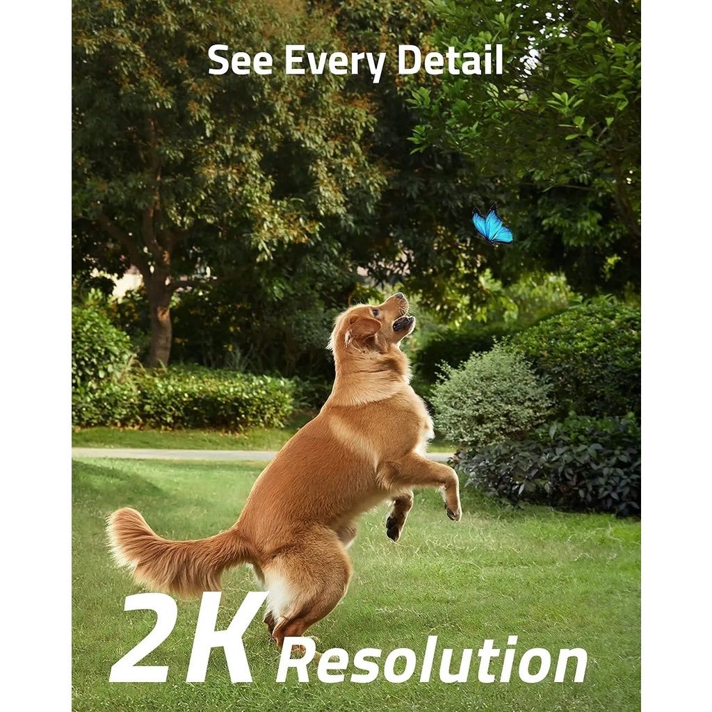 0290a1435bee03732584e192491744cb