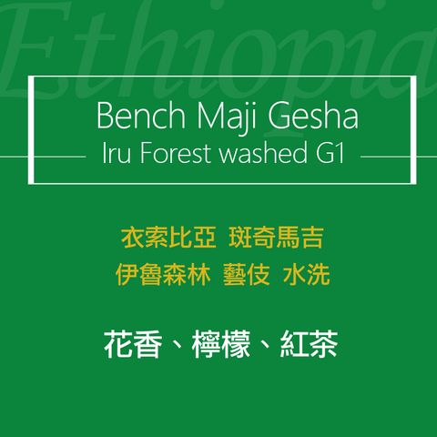 精品咖啡豆_衣索-伊魯森林藝伎 水洗