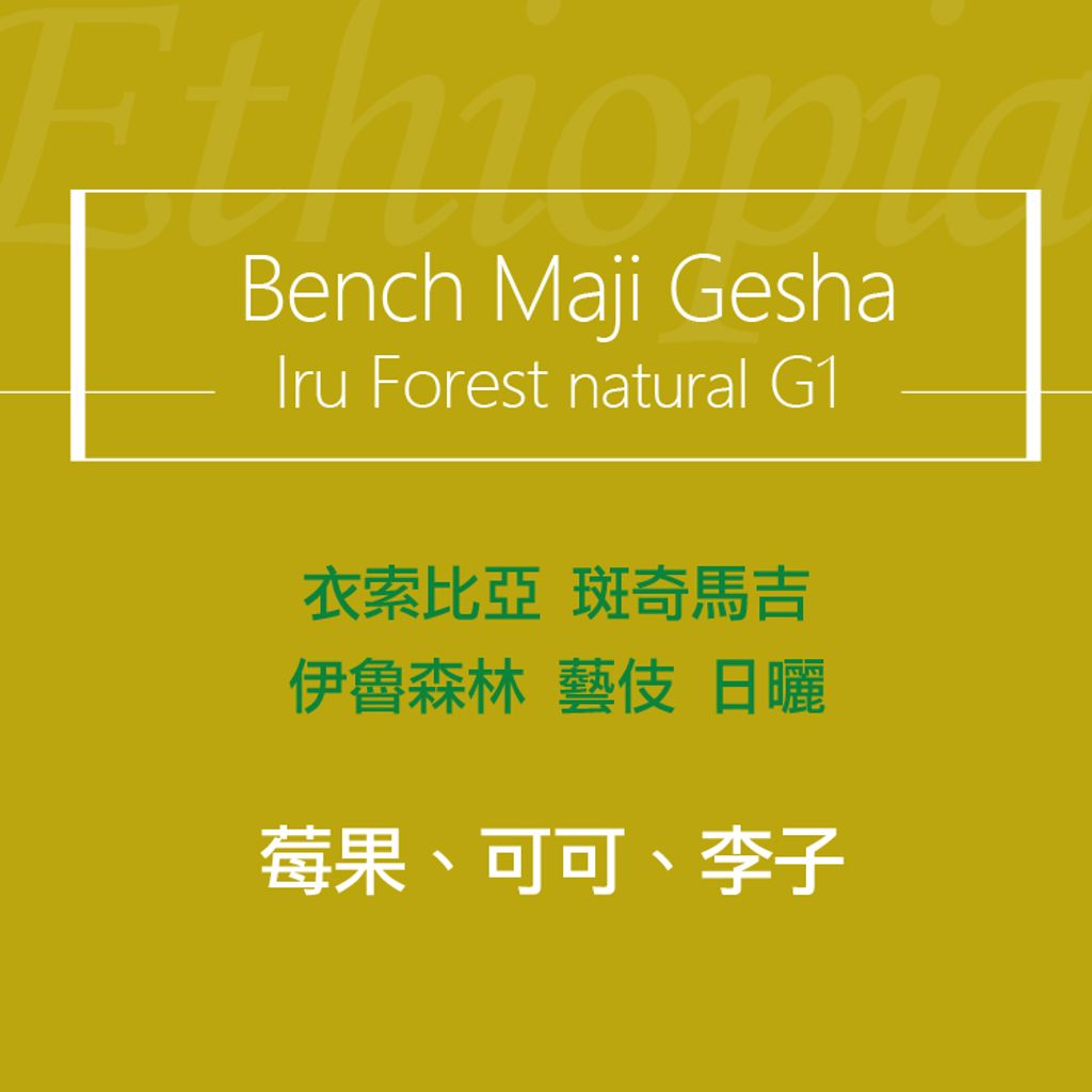 精品咖啡豆_衣索-伊魯森林藝伎 日曬