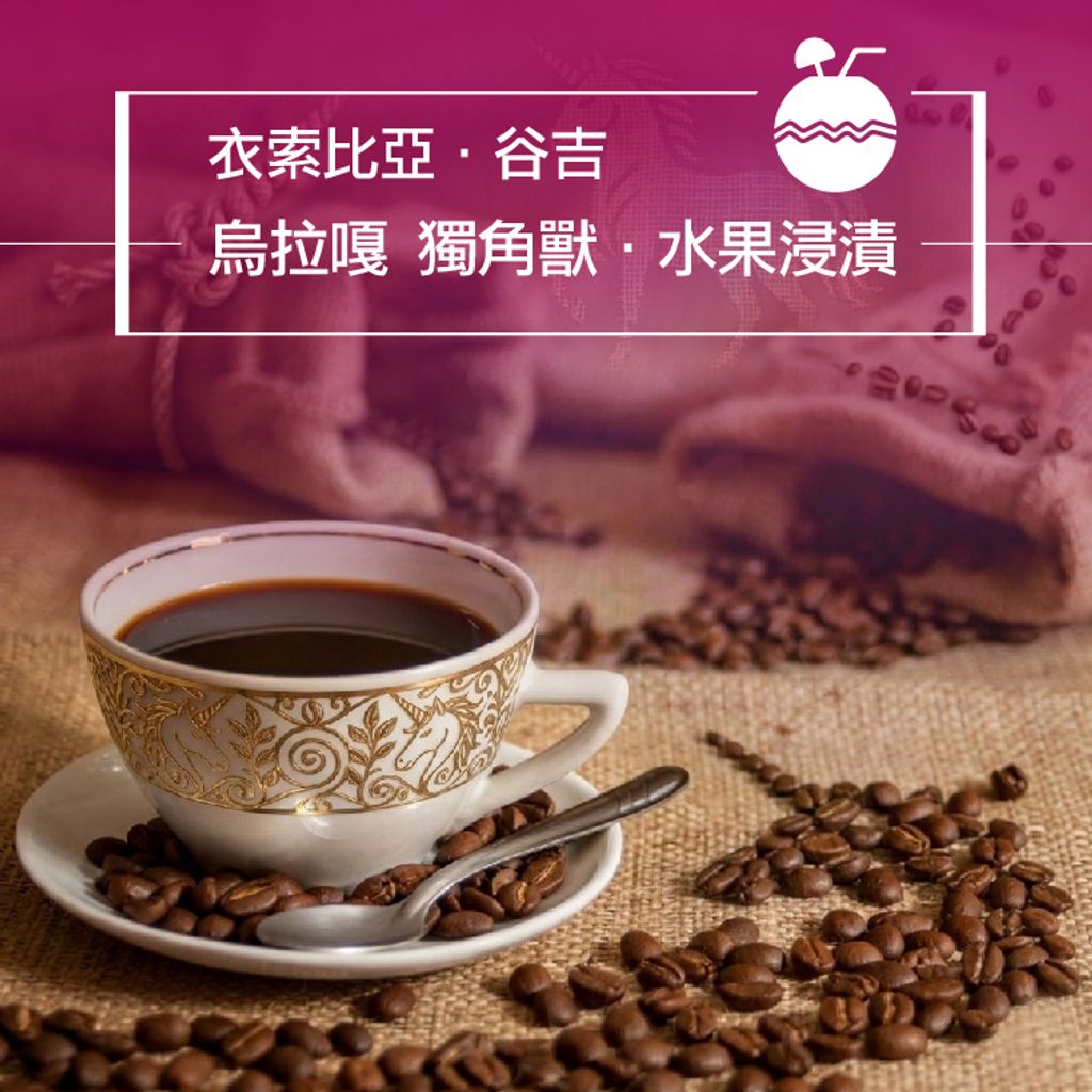 精品咖啡豆_衣索-谷吉烏拉嘎 獨角獸 水果浸漬